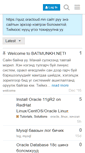 Mobile Screenshot of batmunkh.net